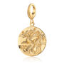 Engraved Gold Plated Aquarius Zodiac Charm Necklace, thumbnail 5 of 9