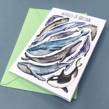 Whales Of Britain Art Blank Greeting Card, 6 of 9