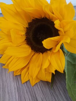 Sunny Sunflowers Gift Set, 5 of 7