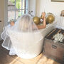 Bride To Be Hen Party Veil, thumbnail 1 of 3