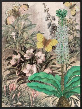 Flower Garden And Butterflies Vanilla Fly Poster, 3 of 4