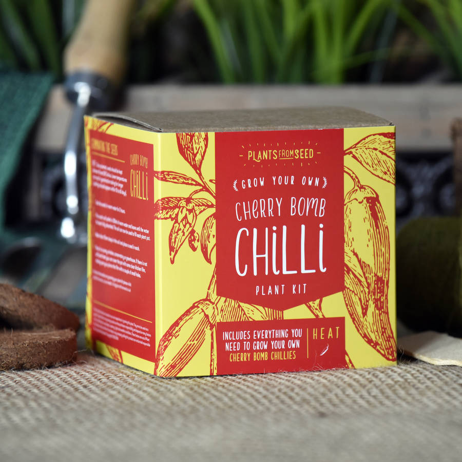Grow Your Own Cherry Bomb Chilli Plant Kit By Plants From Seed