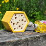 Hexagon Bee House Gift Set, thumbnail 3 of 6