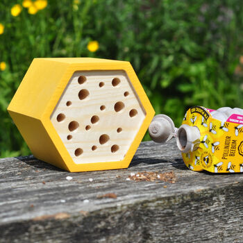 Hexagon Bee House Gift Set, 3 of 6