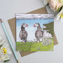 'Feathered Friends' Mixed Pack Of Ten Greeting Cards, thumbnail 3 of 10