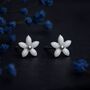 Girls Sterling Silver White Daisy Flower Stud Earrings, thumbnail 3 of 6