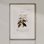 Birth Flower Wall Print 'Lily Of The Valley' For May, thumbnail 5 of 9