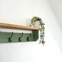 Green Coat Rack With Shelf, Dark Wax Shelf 10cm Deep, Shelf With Hooks, Black, Silver, Bronze, Copper, Chrome, Brass Hooks, Painted In F And B No.34, thumbnail 7 of 8