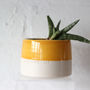 'What A Beautiful Day' Ceramic Indoor Plant Pot, thumbnail 4 of 9