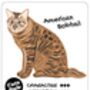 Cats Versus Dogs Card Game For Animal Lovers, thumbnail 9 of 10