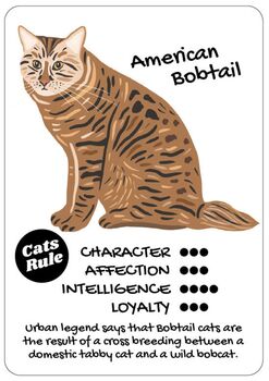 Cats Versus Dogs Card Game For Animal Lovers, 9 of 10