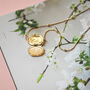 Butterfly Mother Of Pearl Locket Necklace – A Timeless Gift For Mum, thumbnail 6 of 12
