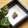 Polished Chondrite Meteorite Box Frame Real Authentic Space Meteor Fragment Museum Quality Natural History Interior Design Home Decor Display Gift Ornament, thumbnail 2 of 5