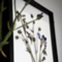 Wild Fade Original Pressed Flower Art In A3 Black Frame, thumbnail 3 of 8