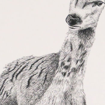 Deer Print 'The Doe', 4 of 4
