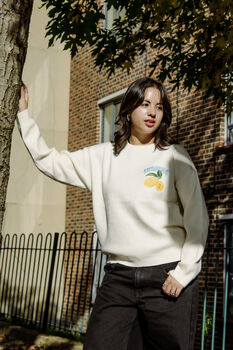 Cream Lemon Embroidered Knit Jumper, 3 of 8