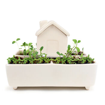 Self Watering House With Herb Garden And Seeds, 5 of 5