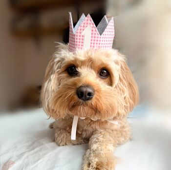 Gingham Dog Birthday Crown, 5 of 10