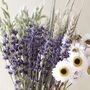 Dried Lavender And Acroclinium Bunch, thumbnail 5 of 5