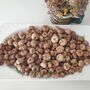 Dried Baby Pumpkin Autumn Potpourri Home Decoration Scented With Pumpkin Spice, thumbnail 4 of 10
