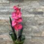 Cerise Pink Faux Silk Orchid Mothers Day Gift, thumbnail 5 of 6