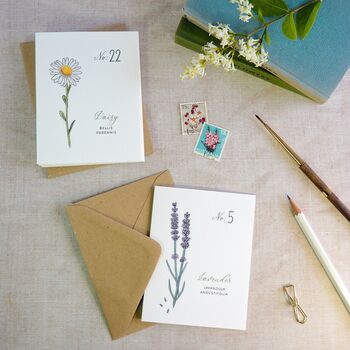 Set Of Six Botanical Wildflower Mini Notecards, 7 of 7