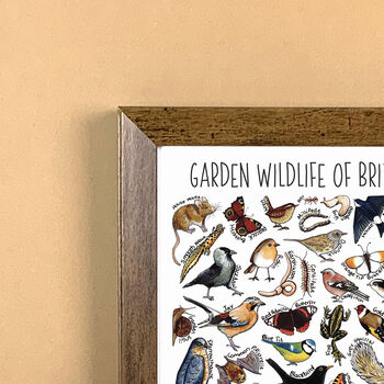 Garden Wildlife Of Britain Wildlife Print, 4 of 9