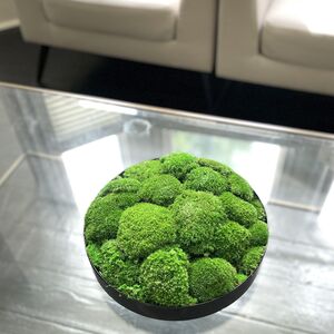 Extra Large Preserved Moss Bowl By Bowerbox