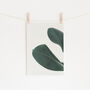 Rubber Fig Leaves I Photographic Plant Print, thumbnail 1 of 2