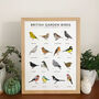 'British Garden Birds' Print, thumbnail 1 of 3