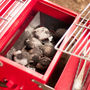 Barbecue Tool Box, thumbnail 3 of 6