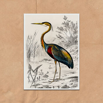 Vintage Crane Heron Illustration Art Print, 7 of 7