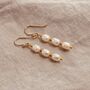 Freshwater Triple Pearl Drop Earrings, thumbnail 2 of 5