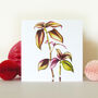 Tradescantia Greetings Card, thumbnail 5 of 5