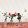 Pink Glass Bottle Vases Set Of Three, thumbnail 5 of 7
