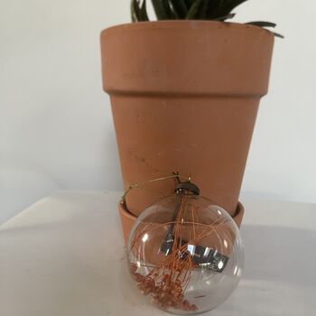 Christmas Bauble With Dried Flower Insert, 4 of 4
