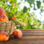 Nectarine Tree 'Humboldt', thumbnail 6 of 11