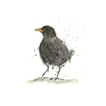 Limited Edition, Garden Bird Print, Blackbird, 2 of 3