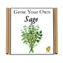 Gardening Gift. Grow Your Own Herbs. Sage Seeds Kit, thumbnail 4 of 4