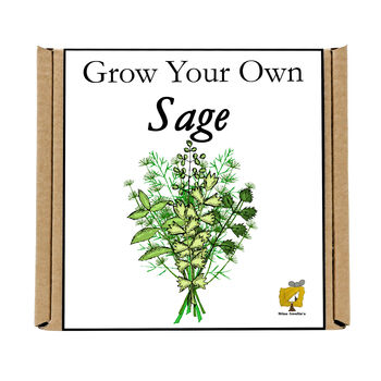 Gardening Gift. Grow Your Own Herbs. Sage Seeds Kit, 4 of 4