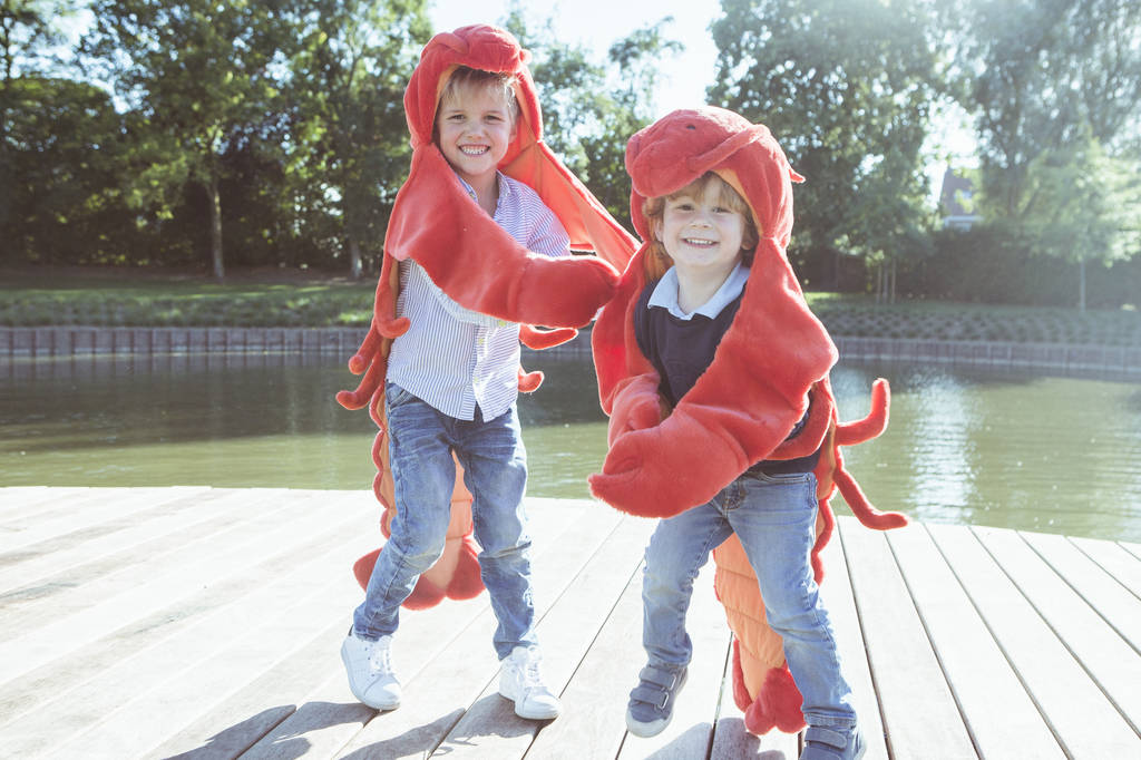 Lobster Costume Disguise, 1 of 2