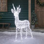 Swinsty Stag Dual Colour LED Light Up Reindeer One.25m, thumbnail 1 of 9