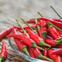 Chilli Pepper Plant Basket Of Fire 2x Plants 9cm Pots, thumbnail 5 of 5