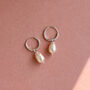 Sterling Silver Small Hoop And Pearl Earrings, thumbnail 1 of 8