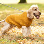 Plain Knitted Mustard Dog Jumper, thumbnail 1 of 5