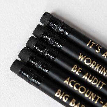Accounting Pencils: Be Audit You Can Be, 5 of 7