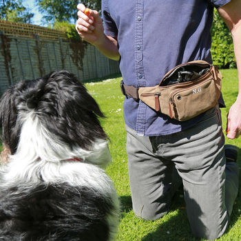 Personalised Dog Walking Belt Bag, 4 of 8