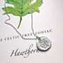 Hawthorn, Tree Zodiac Necklace, thumbnail 1 of 9