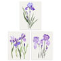 Set Three Wall Art Prints Iris Floral Flowers Purple, thumbnail 1 of 7