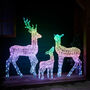 Twinkly Smart LED Light Up Christmas Reindeer Family, thumbnail 7 of 12